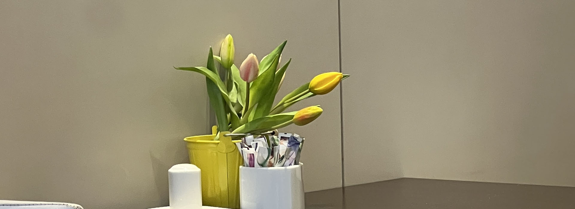 Tulpen